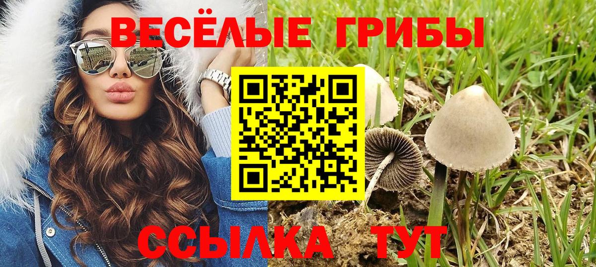 Феодосия  Галлюциногенные грибы мухоморы  Галлюциногенные грибы прущие грибы  Вход с VPN 